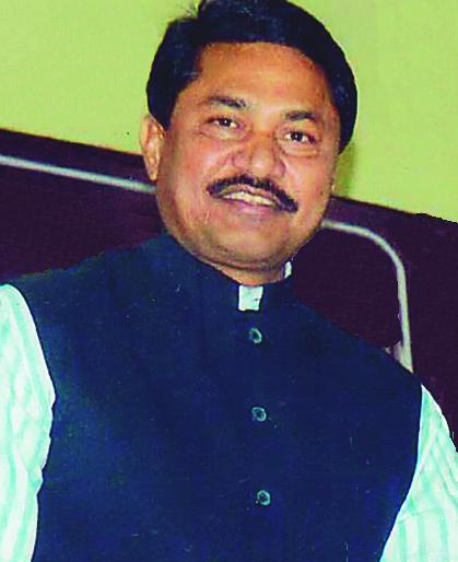 Nana Patalengi cement road criticism | नाना पटोलेंची सिमेंट रस्त्यावर टीका