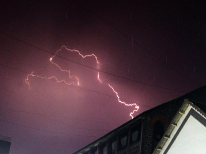 In the windy storm, electricity fell into the camp and killed two bulls | वादळी वाऱ्यात छावणीवर वीज पडून दोन बैल ठार
