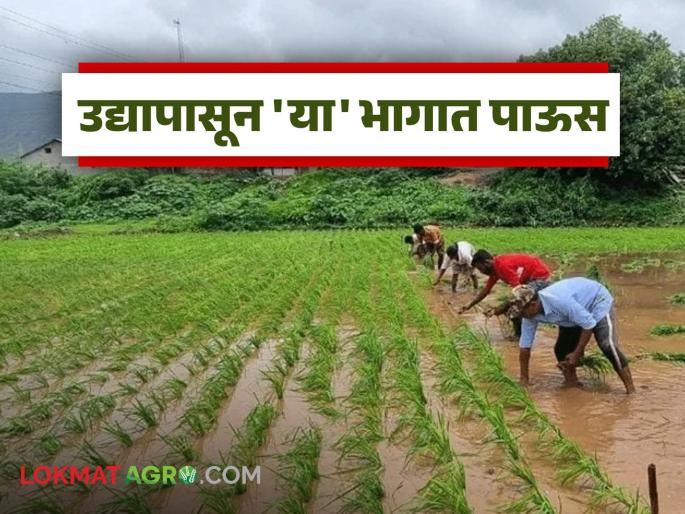 Latest News maharashtra rain Heavy rains in 18 district from July 21st to the first Shrawan Monday, read in detail | Maharashtra Rain : 21 जुलैपासून ते पहिल्या श्रावणी सोमवारपर्यंत 'या' जिल्ह्यात मुसळधार, वाचा सविस्तर