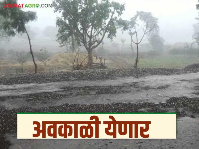 Unseasonal rains with gusty winds likely in these districts of the state | राज्यात या जिल्ह्यांत वादळी वाऱ्यांसह अवकाळी पावसाची शक्यता