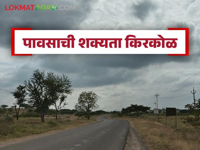 Latest News maharashtra weather update Partly cloudy weather in the state till ३ may date, know the details | Maharashtra Weather Update : राज्यातील काहीसे ढगाळ वातावरण 'या' तारखेपर्यंतचं, जाणून घ्या सविस्तर Latest News maharashtra weather update Partly cloudy weather in the state till ३ may date, know the details | Maharashtra Weather Update : राज्यातील काहीसे ढगाळ वातावरण 'या' तारखेपर्यंतचं, जाणून घ्या सविस्तर