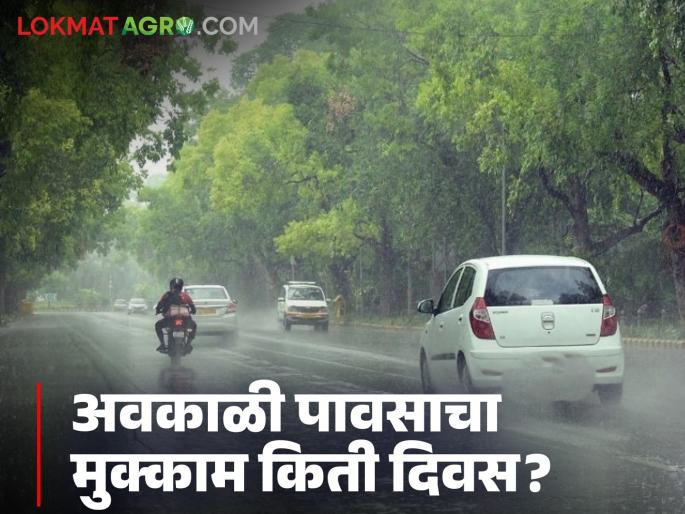 Latest News Maharashtra Rain How many days will it rain in Maharashtra, important information from the Meteorological Department | Maharashtra Rain : महाराष्ट्रात आणखी किती दिवस पावसाचे, हवामान विभागाकडून महत्वपूर्ण माहिती Latest News Maharashtra Rain How many days will it rain in Maharashtra, important information from the Meteorological Department | Maharashtra Rain : महाराष्ट्रात आणखी किती दिवस पावसाचे, हवामान विभागाकडून महत्वपूर्ण माहिती