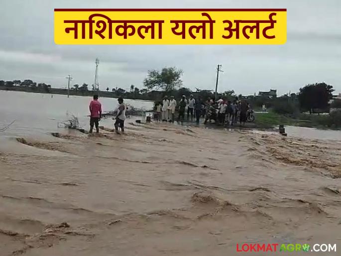 Latest News Nashik rain Two-day yellow alert for Nashik district, discharge from Gangapur dam | Nashik Rain : नाशिक जिल्ह्याला दोन दिवसांचा यलो अलर्ट, गंगापूर धरणातून पुन्हा विसर्ग 