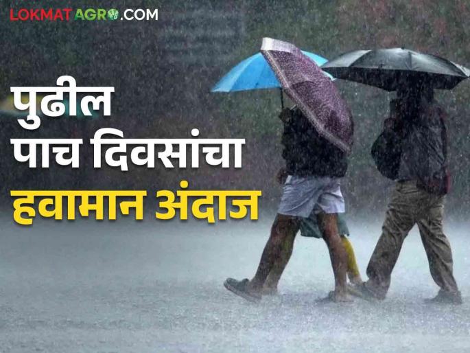 Latest News Maharashtra rain update Chance of rain in districts of maharashtra for next five days, read in detail  | Maharashtra Rain Update : पुढील पाच दिवस राज्यातील 'या' जिल्ह्यांत पावसाची शक्यता, वाचा सविस्तर  Latest News Maharashtra rain update Chance of rain in districts of maharashtra for next five days, read in detail  | Maharashtra Rain Update : पुढील पाच दिवस राज्यातील 'या' जिल्ह्यांत पावसाची शक्यता, वाचा सविस्तर