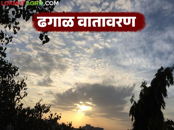 Maharashtra Weather Update : Break from the scorching sun, possibility of cloudy weather for two days | Maharashtra Weather Update : कडक उन्हाला ब्रेक, दोन दिवस ढगाळ वातावरणाची शक्यता Maharashtra Weather Update : Break from the scorching sun, possibility of cloudy weather for two days | Maharashtra Weather Update : कडक उन्हाला ब्रेक, दोन दिवस ढगाळ वातावरणाची शक्यता