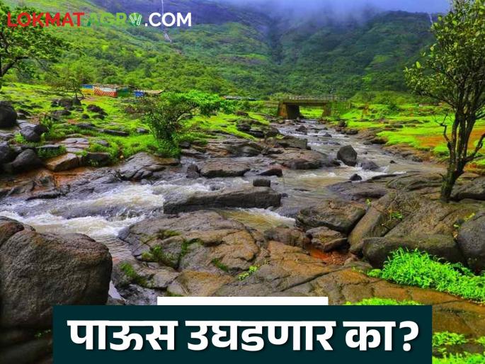 Rains will take a break in these districts for the next two weeks, read the weather forecast | Maharashtra Rain : पुढील दोन आठवडे 'या' जिल्ह्यांत पाऊस विश्रांती घेणार, वाचा हवामान अंदाज 