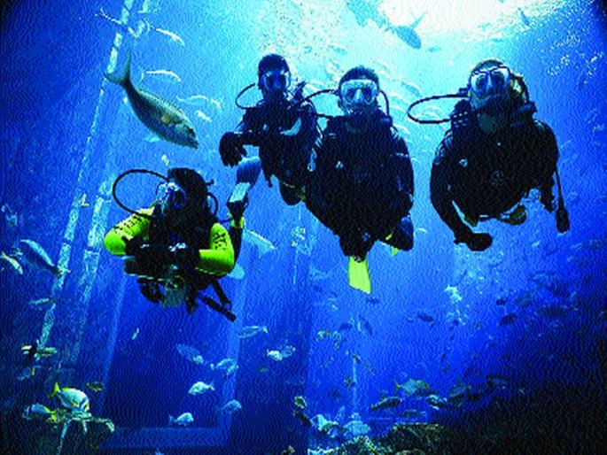 Pavite will start water sports? Scuba Diving, Water Polo, Boat Racing Facility | पवईत सुरू होणार जलक्रीडा? स्कुबा डायव्हिंग, वॉटर पोलो, बोट रेसिंग सुविधा  Pavite will start water sports? Scuba Diving, Water Polo, Boat Racing Facility | पवईत सुरू होणार जलक्रीडा? स्कुबा डायव्हिंग, वॉटर पोलो, बोट रेसिंग सुविधा