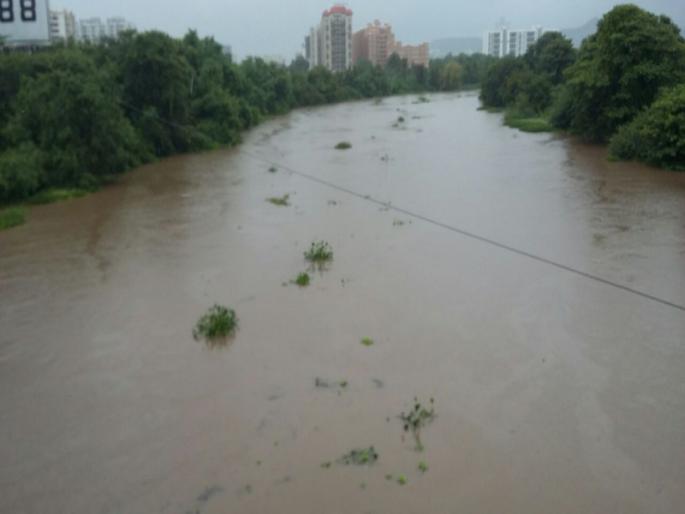 flowing jalparni in the river ; Rain saved money | पवना नदीतील जलपर्णी गेली वाहून ; पावसाने वाचविले पैसे  flowing jalparni in the river ; Rain saved money | पवना नदीतील जलपर्णी गेली वाहून ; पावसाने वाचविले पैसे