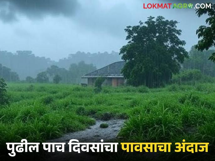 Latest News Maharashtra rain Heavy rains in few district for next five days of September, read in detail | Maharashtra Rain : सप्टेंबरचे पुढील पाच दिवस 'या' जिल्ह्यात मुसळधार पाऊस, वाचा सविस्तर 