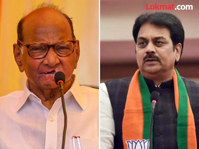 Will BJP leader Harshvardhan Patil join NCP?; Sharad Pawar big statement | भाजपा नेते हर्षवर्धन पाटलांना राष्ट्रवादीत घेणार का?; शरद पवारांचं मोठं विधान Will BJP leader Harshvardhan Patil join NCP?; Sharad Pawar big statement | भाजपा नेते हर्षवर्धन पाटलांना राष्ट्रवादीत घेणार का?; शरद पवारांचं मोठं विधान
