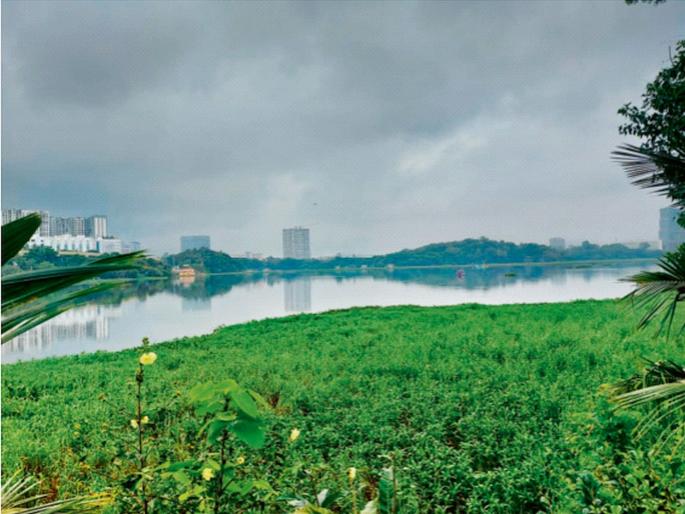 Give 'Ramsar' status to Powai Lake of 'crocodiles'! | ‘मगरीं’च्या पवई तलावाला ‘रामसर’ दर्जा द्या !