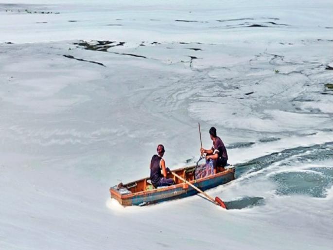 Soapy water causes foaming in Pavana; Samples of polluted water in the river sent for testing | साबणाच्या पाण्यामुळे फेसाळतेय पवना; नदीतील प्रदूषित पाण्याचे नमुने तपासणीसाठी पाठवले Soapy water causes foaming in Pavana; Samples of polluted water in the river sent for testing | साबणाच्या पाण्यामुळे फेसाळतेय पवना; नदीतील प्रदूषित पाण्याचे नमुने तपासणीसाठी पाठवले