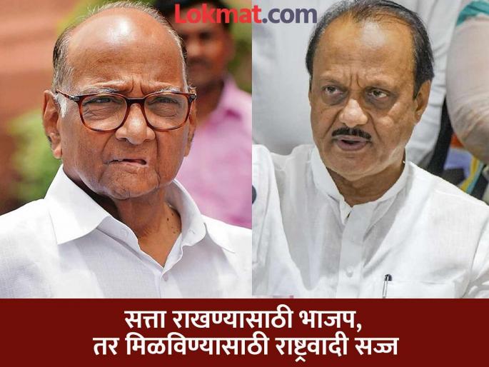 Pune news despite the alliance between BJP and NCP there will be a battle for supremacy | महापालिका निवडणूक : भाजप-राष्ट्रवादीत युती असूनही वर्चस्वासाठी होणार लढाई Pune news despite the alliance between BJP and NCP there will be a battle for supremacy | महापालिका निवडणूक : भाजप-राष्ट्रवादीत युती असूनही वर्चस्वासाठी होणार लढाई