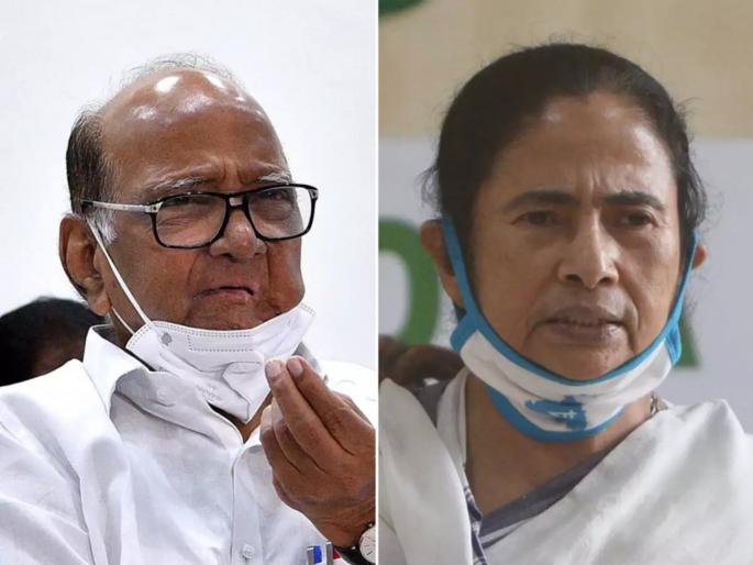 west bengal assembly election 2021 ncp leader sharad pawar three days visit west bengal and will meet mamata banerjee | West Bengal Election 2021: ठरलं! शरद पवार घेणार ममता दीदींची भेट; काँग्रेसचा प्रस्ताव नाकारला west bengal assembly election 2021 ncp leader sharad pawar three days visit west bengal and will meet mamata banerjee | West Bengal Election 2021: ठरलं! शरद पवार घेणार ममता दीदींची भेट; काँग्रेसचा प्रस्ताव नाकारला
