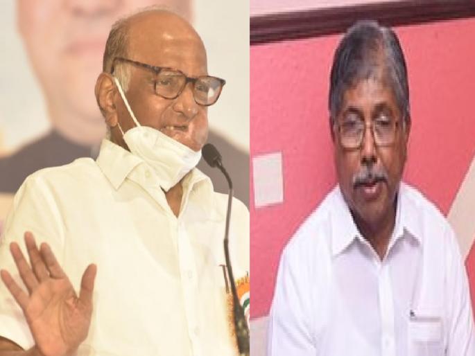 Speaking of wise men, Sharad Pawar scoffed at Chandrakant Patil | जरा शहाण्या माणसांबद्दल बोललेलं बरं, शरद पवार यांनी चंद्रकांत पाटलांची उडविली खिल्ली Speaking of wise men, Sharad Pawar scoffed at Chandrakant Patil | जरा शहाण्या माणसांबद्दल बोललेलं बरं, शरद पवार यांनी चंद्रकांत पाटलांची उडविली खिल्ली