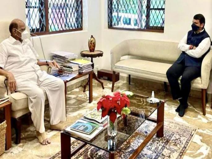 bjp leader devendra fadnavis meets ncp chief sharad pawar at his residence | शरद पवार-देवेंद्र फडणवीसांच्या भेटीत नेमकी कोणती चर्चा?; भाजपचा ज्येष्ठ नेता म्हणतो... bjp leader devendra fadnavis meets ncp chief sharad pawar at his residence | शरद पवार-देवेंद्र फडणवीसांच्या भेटीत नेमकी कोणती चर्चा?; भाजपचा ज्येष्ठ नेता म्हणतो...