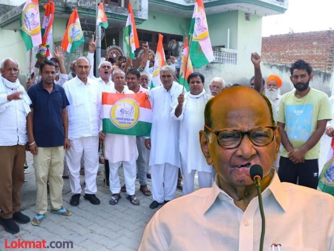 Haryana Election Result 2024 - Sharad Pawar, Ajit Pawar NCP Party candidate in Haryana; How many votes did you get on the 'Tutari' symbol? | शरद पवारांचा हरियाणात एकमेव उमेदवार; 'तुतारी' चिन्हावर किती मतं मिळवली? Haryana Election Result 2024 - Sharad Pawar, Ajit Pawar NCP Party candidate in Haryana; How many votes did you get on the 'Tutari' symbol? | शरद पवारांचा हरियाणात एकमेव उमेदवार; 'तुतारी' चिन्हावर किती मतं मिळवली?