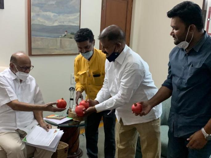 Sharad Pawar's initiative for sale of organic, non-toxic agricultural products; 'Morfa' officers meet in baramati | सेंद्रिय, विषमुक्त कृषी उत्पादनाविक्रीसाठी शरद पवार यांचा पुढाकार;‘मोर्फा‘च्या पदाधिकाऱ्यांनी घेतली भेट