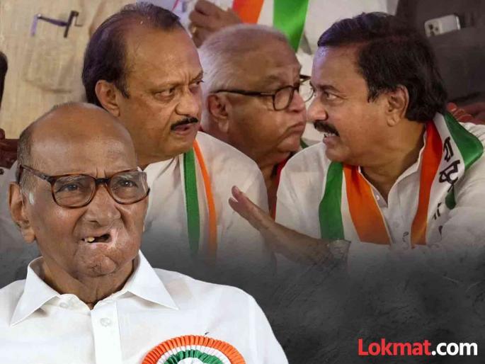 "Taking Sharad Pawar lightly is suicide", what did Sunil Tatkare say before the as Maharashtra assembly election? | "शरद पवारांना हलक्यात घेणं म्हणजे आत्मघात", सुनील तटकरे विधानसभा निवडणुकीबद्दल काय बोलले? "Taking Sharad Pawar lightly is suicide", what did Sunil Tatkare say before the as Maharashtra assembly election? | "शरद पवारांना हलक्यात घेणं म्हणजे आत्मघात", सुनील तटकरे विधानसभा निवडणुकीबद्दल काय बोलले?