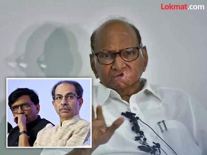 Uddhav Thackeray will be the Chief Minister again? What did Sharad Pawar answer? | उद्धव ठाकरे पुन्हा मुख्यमंत्री होणार? शरद पवारांनी काय दिले उत्तर? Uddhav Thackeray will be the Chief Minister again? What did Sharad Pawar answer? | उद्धव ठाकरे पुन्हा मुख्यमंत्री होणार? शरद पवारांनी काय दिले उत्तर?