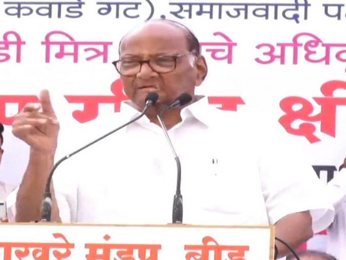 Maharashtra Election 2019: NCP Sharad Pawar Says In Beed Rally | Maharashtra Election 2019: घरोबा एकदाच करायचा असतो; सारखं कुंकू बदलायचं नसतं: शरद पवार