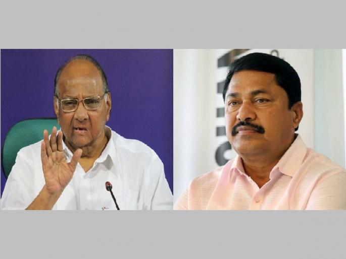 Sharad Pawar says Maha Vikas Aghadi but Nana Patole says Congress dont know | शरद पवार म्हणतात महाविकास आघाडी पण पटोले म्हणतात काँग्रेसला माहीतच नाही Sharad Pawar says Maha Vikas Aghadi but Nana Patole says Congress dont know | शरद पवार म्हणतात महाविकास आघाडी पण पटोले म्हणतात काँग्रेसला माहीतच नाही