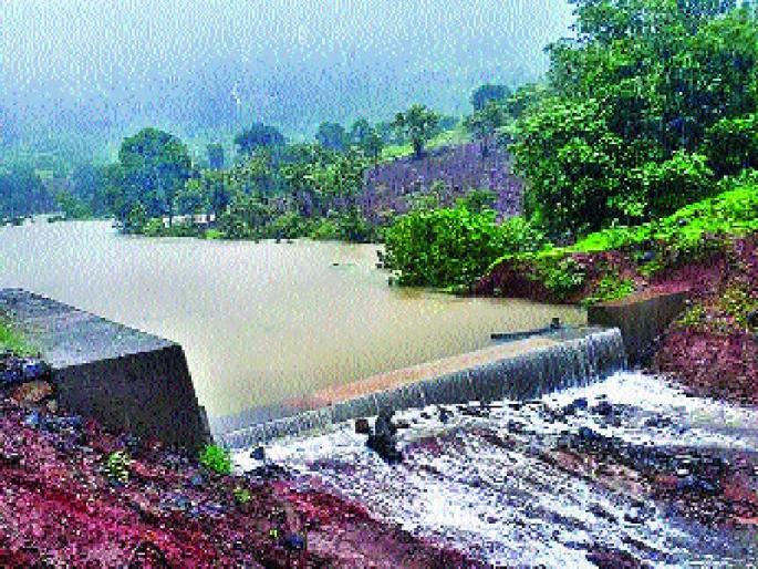 Tribal people revived the percolation pond | आदिवासींनी पाझर तलाव केला पुनर्जीवित