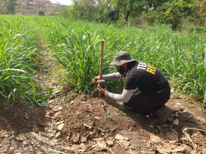 Leopards in Dighi Charholi area of Pimpri The forest department is investigating | पिंपरीतील दिघी, चऱ्होली परिसरामध्ये बिबट्या; वन विभागाकडून तपासणी सुरू Leopards in Dighi Charholi area of Pimpri The forest department is investigating | पिंपरीतील दिघी, चऱ्होली परिसरामध्ये बिबट्या; वन विभागाकडून तपासणी सुरू