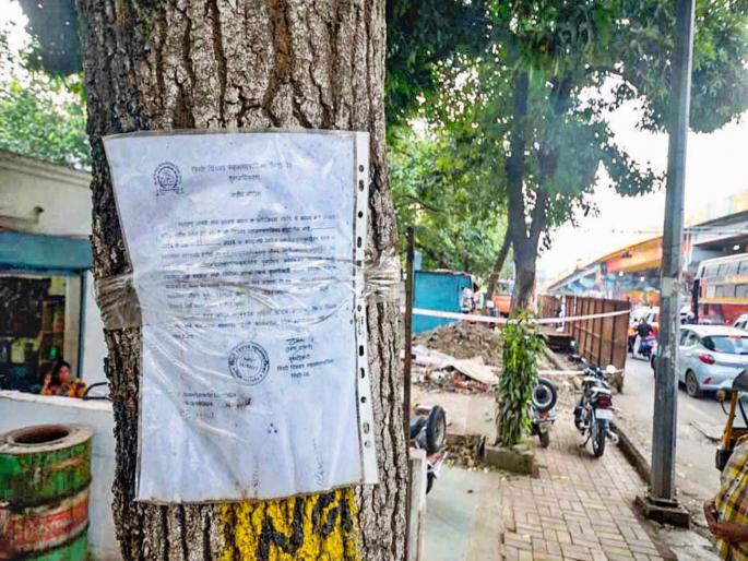 pimpari-chinchwad news Notices were put on a tree in Nigdi and the video went viral | वृक्षतोड करू नये; निगडीतील झाडावर नोटिसा लावल्या अन् व्हिडिओ झाला व्हायरल