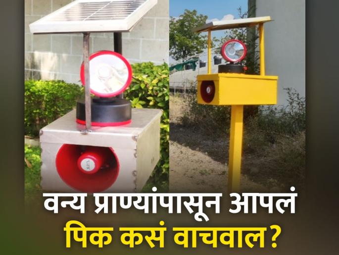 Protect your crops from wild animals; Check out Solar Powered Animal Repellents | जंगली प्राण्यांपासून वाचवा आपली पिके; पहा सौर उर्जेवर चालणारे प्राणी प्रतिबंधक यंत्र