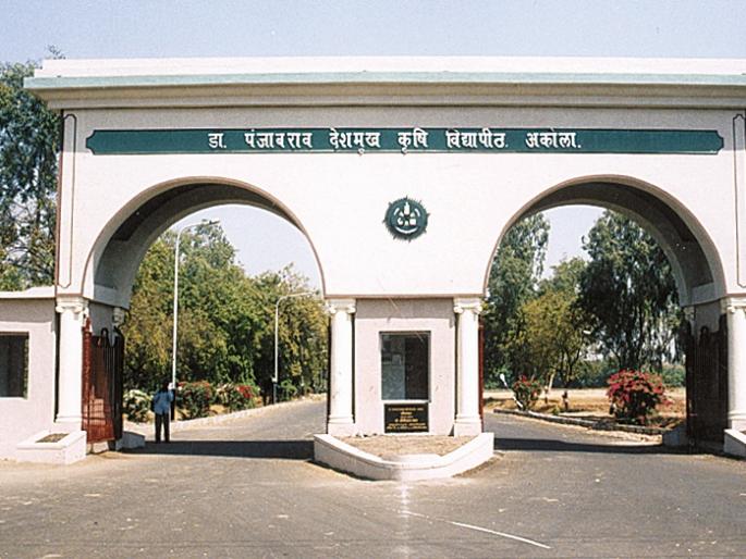 Akola: Agricultural University emphasizes the creation of self-employment! | अकोला : स्वयंरोजगार निर्मितीवर कृषी विद्यापीठाचा भर!