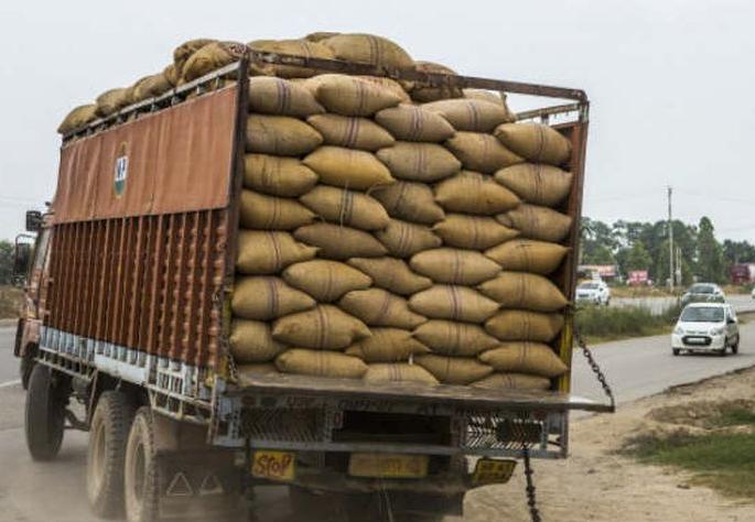Government grain transport vehicle was caught by RTO | शासकीय धान्य वाहतूक करणारे वाहन 'आरटीओ'ने पकडले Government grain transport vehicle was caught by RTO | शासकीय धान्य वाहतूक करणारे वाहन 'आरटीओ'ने पकडले
