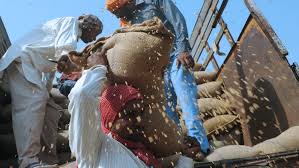 Grain transport through online pass! | रेशनचा काळाबाजार रोखण्यासाठी धान्य वाहतूक आता आॅनलाईन पासद्वारे! Grain transport through online pass! | रेशनचा काळाबाजार रोखण्यासाठी धान्य वाहतूक आता आॅनलाईन पासद्वारे!