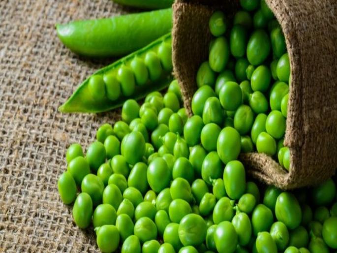 what is pea protein milk and its benefits | शाकाहारी लोकांसाठी फायदेशीर ठरतं 'पी प्रोटीन'; जाणून घ्या काय आहेत फायदे! what is pea protein milk and its benefits | शाकाहारी लोकांसाठी फायदेशीर ठरतं 'पी प्रोटीन'; जाणून घ्या काय आहेत फायदे!