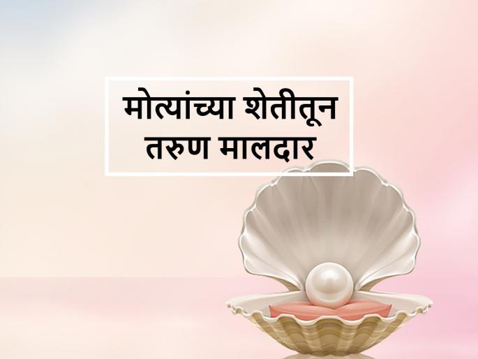 Pearl Farming: Success story of Gadchiroli farmer of pearl farming | Pearl Farming: युवा शेतकरी घरीच शिंपल्यात पिकविताे चमकदार माेती Pearl Farming: Success story of Gadchiroli farmer of pearl farming | Pearl Farming: युवा शेतकरी घरीच शिंपल्यात पिकविताे चमकदार माेती