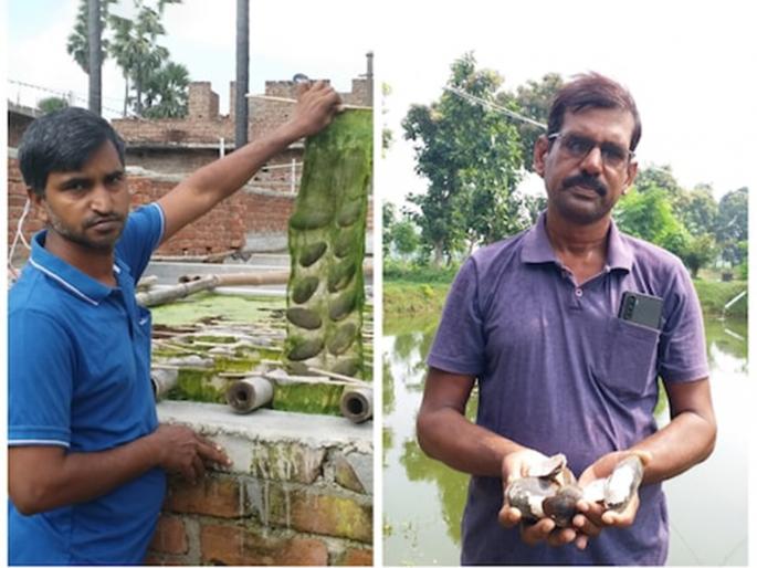success story ajay mehta and uday kumar of gaya become pearl king by pearl cultivation | खर्च कमी अन् फायदा मोठा! 50 हजारांत सुरू करा 'हा' व्यवसाय, 3 ते 4 लाखांची बक्कळ कमाई success story ajay mehta and uday kumar of gaya become pearl king by pearl cultivation | खर्च कमी अन् फायदा मोठा! 50 हजारांत सुरू करा 'हा' व्यवसाय, 3 ते 4 लाखांची बक्कळ कमाई