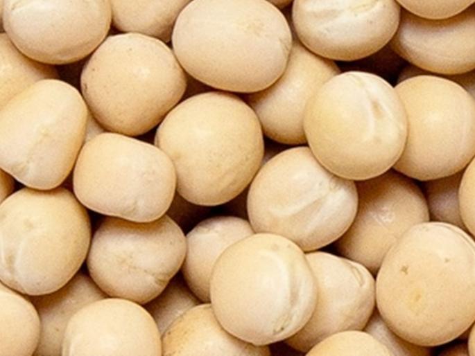 Matki, white peas became expensive while chana dal became cheaper | मटकी, सफेद वाटाणा महाग तर चणाडाळ, चणे झाले स्वस्त Matki, white peas became expensive while chana dal became cheaper | मटकी, सफेद वाटाणा महाग तर चणाडाळ, चणे झाले स्वस्त