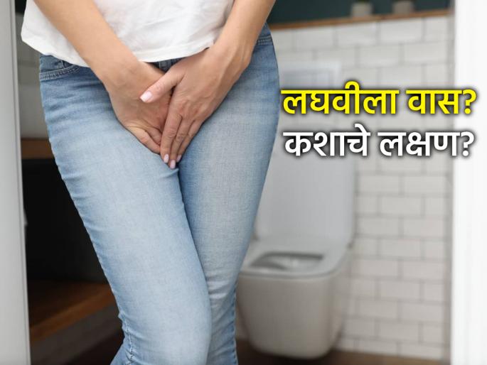 Health Tips: Bad urine odor is not just a sign of heat, it can be a serious warning from your body! | Health Tips: लघवीला दुर्गंधी म्हणजे केवळ उष्णता नव्हे, तुमच्या शरीराने दिलेला 'हा' गंभीर इशारा असू शकतो! Health Tips: Bad urine odor is not just a sign of heat, it can be a serious warning from your body! | Health Tips: लघवीला दुर्गंधी म्हणजे केवळ उष्णता नव्हे, तुमच्या शरीराने दिलेला 'हा' गंभीर इशारा असू शकतो!