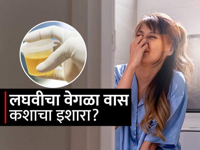 Doctor tells what your different urine smells tells you about your health | लघवीला उग्र घाणेरडा वास येतो? पाहा कारणं, कोणत्या आजाराचं हे लक्षणं-वेळीच गाठा डॉक्टर