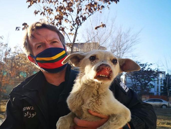 94 dogs and 68 cats released from kabul after taliban takes over afghanistan | देवदूत! ९४ कुत्री आणि ६८ मांजरांची काबूलहून सुटका; तालिबान्यांच्या धुमश्चक्रीत ठेवले सुरक्षित 94 dogs and 68 cats released from kabul after taliban takes over afghanistan | देवदूत! ९४ कुत्री आणि ६८ मांजरांची काबूलहून सुटका; तालिबान्यांच्या धुमश्चक्रीत ठेवले सुरक्षित