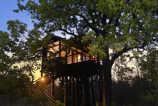 Nature tourism of Pench, Bor, Umred is also green | पेंच, बोर, उमरेडच्या निसर्ग पर्यटनालाही हिरवी झेडी Nature tourism of Pench, Bor, Umred is also green | पेंच, बोर, उमरेडच्या निसर्ग पर्यटनालाही हिरवी झेडी