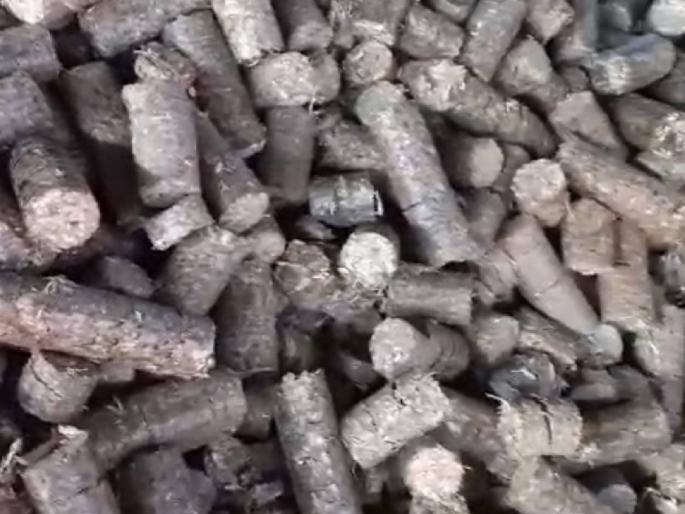 The municipality will also get income from the processing of mulch and branches | पालापाचोळा व फांद्यांच्या प्रक्रियेतून सुद्धा पालिकेला मिळणार उत्पन्न The municipality will also get income from the processing of mulch and branches | पालापाचोळा व फांद्यांच्या प्रक्रियेतून सुद्धा पालिकेला मिळणार उत्पन्न