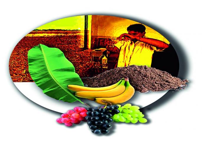 Increase fertility by using crop residues | पिकांचे अवशेष वापरून सुपिकता वाढवा Increase fertility by using crop residues | पिकांचे अवशेष वापरून सुपिकता वाढवा