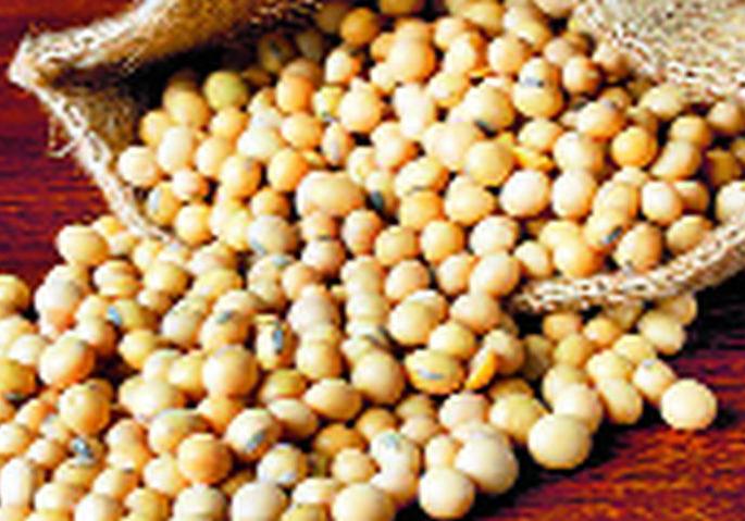 Bogus soybeans; Criminal suspension; Producers in the Supreme Court against the High Court order | बोगस सोयाबीन; फौजदारीस स्थगिती; हायकोर्ट आदेशाविरुद्ध उत्पादक सुप्रीम कोर्टात Bogus soybeans; Criminal suspension; Producers in the Supreme Court against the High Court order | बोगस सोयाबीन; फौजदारीस स्थगिती; हायकोर्ट आदेशाविरुद्ध उत्पादक सुप्रीम कोर्टात