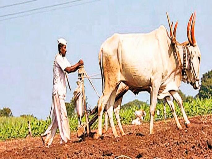 Do not Hurry sowing : Agriculture Department's advice | पेरणीची घाई करु नका  : कृषी विभागाचा सल्ला