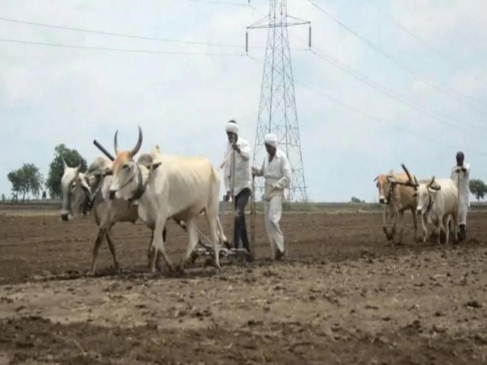 Weather forecast fails miserably, rain forecast goes astray; Sows in crisis, fire from across the state | हवामान खाते सपशेल नापास, पावसाचा अंदाज भरकटला; पेरण्या संकटात, राज्यभरातून आगपाखड Weather forecast fails miserably, rain forecast goes astray; Sows in crisis, fire from across the state | हवामान खाते सपशेल नापास, पावसाचा अंदाज भरकटला; पेरण्या संकटात, राज्यभरातून आगपाखड