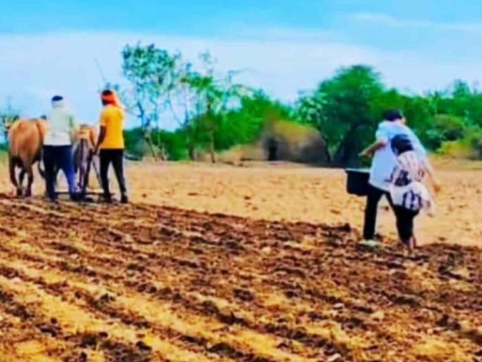 Farmers have stopped sowing. Sowing was stopped on Tuesday as it was a tradition to preserve it | शेतकऱ्यांनी पेरणी थांबवून केले परंपरेचे जतन, वर्जिकवार असल्याने मंगळवारी पेरणी थांबवली Farmers have stopped sowing. Sowing was stopped on Tuesday as it was a tradition to preserve it | शेतकऱ्यांनी पेरणी थांबवून केले परंपरेचे जतन, वर्जिकवार असल्याने मंगळवारी पेरणी थांबवली