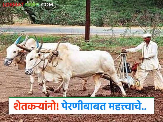 Latest News Monsoon Update remember 'this' date of rain, then decide on kharif season sowing | Monsoon Update : शेतकऱ्यांनो पावसाची 'ही' तारीख लक्षात ठेवा, त्यानंतर पेरणीचा निर्णय घ्या! Latest News Monsoon Update remember 'this' date of rain, then decide on kharif season sowing | Monsoon Update : शेतकऱ्यांनो पावसाची 'ही' तारीख लक्षात ठेवा, त्यानंतर पेरणीचा निर्णय घ्या!