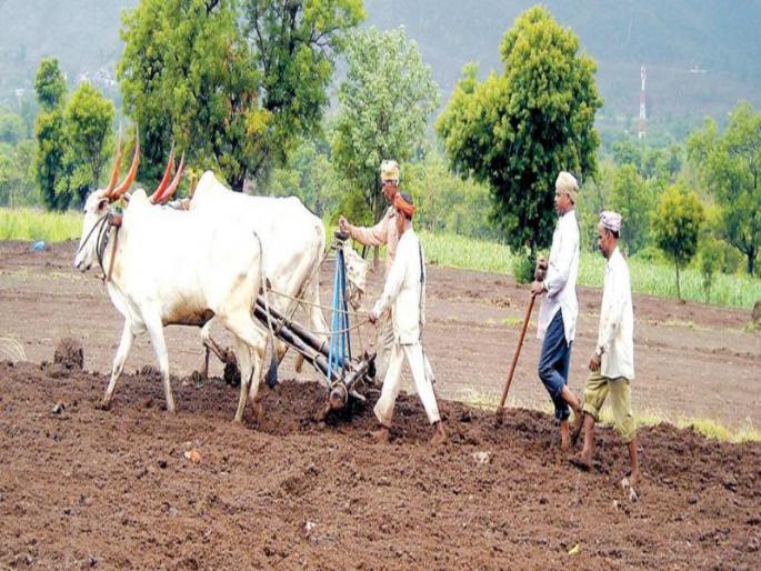 The effect of excess rainfall; By the end of November, the rabbi's sowing was only 59 percent | अतिवृष्टीचा परिणाम; नोव्हेंबर संपत आला तरी रब्बीची पेरणी ५९ टक्केच
