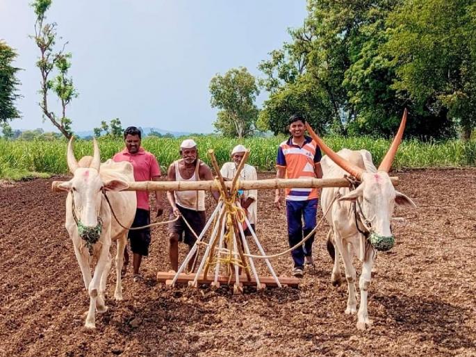 Kharif sowing will be done on three lakh hectares in Sangli district, the agriculture department has started preparations | सांगली जिल्ह्यात पावणेतीन लाख हेक्टर्सवर होणार खरीप पेरणी, कृषी विभागाकडून तयारी सुरू 